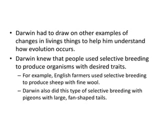 • Darwin had to draw on other examples of
changes in livings things to help him understand
how evolution occurs.
• Darwin knew that people used selective breeding
to produce organisms with desired traits.
– For example, English farmers used selective breeding
to produce sheep with fine wool.
– Darwin also did this type of selective breeding with
pigeons with large, fan-shaped tails.
 