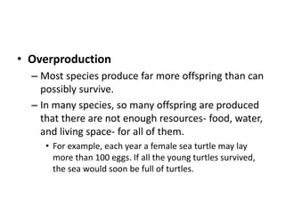 • Overproduction
– Most species produce far more offspring than can
possibly survive.
– In many species, so many offspring are produced
that there are not enough resources- food, water,
and living space- for all of them.
• For example, each year a female sea turtle may lay
more than 100 eggs. If all the young turtles survived,
the sea would soon be full of turtles.
 