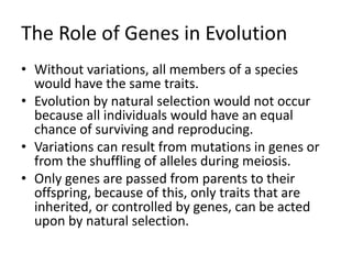 The Role of Genes in Evolution
• Without variations, all members of a species
would have the same traits.
• Evolution by natural selection would not occur
because all individuals would have an equal
chance of surviving and reproducing.
• Variations can result from mutations in genes or
from the shuffling of alleles during meiosis.
• Only genes are passed from parents to their
offspring, because of this, only traits that are
inherited, or controlled by genes, can be acted
upon by natural selection.
 
