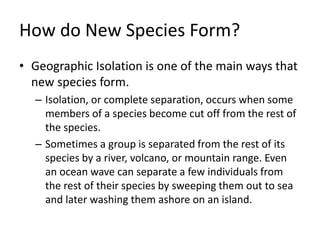 How do New Species Form?
• Geographic Isolation is one of the main ways that
new species form.
– Isolation, or complete separation, occurs when some
members of a species become cut off from the rest of
the species.
– Sometimes a group is separated from the rest of its
species by a river, volcano, or mountain range. Even
an ocean wave can separate a few individuals from
the rest of their species by sweeping them out to sea
and later washing them ashore on an island.
 