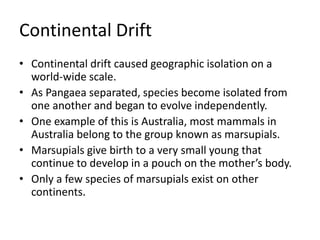 Continental Drift
• Continental drift caused geographic isolation on a
world-wide scale.
• As Pangaea separated, species become isolated from
one another and began to evolve independently.
• One example of this is Australia, most mammals in
Australia belong to the group known as marsupials.
• Marsupials give birth to a very small young that
continue to develop in a pouch on the mother’s body.
• Only a few species of marsupials exist on other
continents.
 