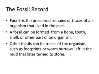 The Fossil Record
• Fossil- is the preserved remains or traces of an
organism that lived in the past.
• A fossil can be formed from a bone, tooth,
shell, or other part of an organism.
• Other fossils can be traces of the organism,
such as footprints or worm burrows left in the
mud that later turned to stone.
 