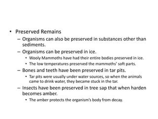 • Preserved Remains
– Organisms can also be preserved in substances other than
sediments.
– Organisms can be preserved in ice.
• Wooly Mammoths have had their entire bodies preserved in ice.
• The low temperatures preserved the mammoths’ soft parts.
– Bones and teeth have been preserved in tar pits.
• Tar pits were usually under water sources, so when the animals
came to drink water, they became stuck in the tar.
– Insects have been preserved in tree sap that when harden
becomes amber.
• The amber protects the organism’s body from decay.
 