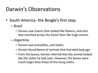 Darwin’s Observations
• South America- the Beagle’s first stop.
– Brazil
• Darwin saw insects that looked like flowers, and ants
that marched across the forest floor like huge armies.
– Argentina
• Darwin saw armadillos, and sloths.
• Darwin found bones of animals that had died long ago.
• From the bones, Darwin inferred that the animal looked
like the sloths he had seen. However, the bones were
much larger than those of the living sloths.
 