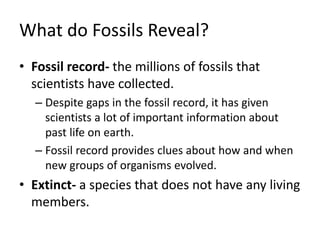 What do Fossils Reveal?
• Fossil record- the millions of fossils that
scientists have collected.
– Despite gaps in the fossil record, it has given
scientists a lot of important information about
past life on earth.
– Fossil record provides clues about how and when
new groups of organisms evolved.
• Extinct- a species that does not have any living
members.
 