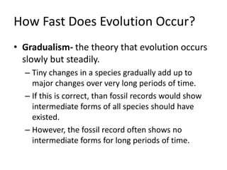 How Fast Does Evolution Occur?
• Gradualism- the theory that evolution occurs
slowly but steadily.
– Tiny changes in a species gradually add up to
major changes over very long periods of time.
– If this is correct, than fossil records would show
intermediate forms of all species should have
existed.
– However, the fossil record often shows no
intermediate forms for long periods of time.
 