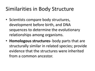 Similarities in Body Structure
• Scientists compare body structures,
development before birth, and DNA
sequences to determine the evolutionary
relationships among organisms.
• Homologous structures- body parts that are
structurally similar in related species; provide
evidence that the structures were inherited
from a common ancestor.
 