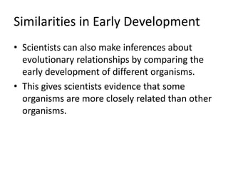 Similarities in Early Development
• Scientists can also make inferences about
evolutionary relationships by comparing the
early development of different organisms.
• This gives scientists evidence that some
organisms are more closely related than other
organisms.
 