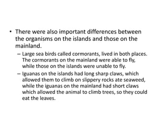 • There were also important differences between
the organisms on the islands and those on the
mainland.
– Large sea birds called cormorants, lived in both places.
The cormorants on the mainland were able to fly,
while those on the islands were unable to fly.
– Iguanas on the islands had long sharp claws, which
allowed them to climb on slippery rocks ate seaweed,
while the iguanas on the mainland had short claws
which allowed the animal to climb trees, so they could
eat the leaves.
 