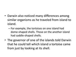• Darwin also noticed many differences among
similar organisms as he traveled from island to
island.
– For example, the tortoises on one island had
dome-shaped shells. Those on the another island
had saddle-shaped shells.
• The governor of one of the islands told Darwin
that he could tell which island a tortoise came
from just by looking at its shell.
 