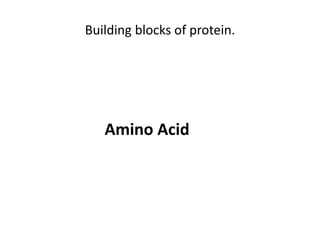 Building blocks of protein.
Amino Acid
 