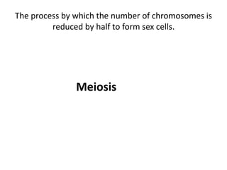 The process by which the number of chromosomes is
reduced by half to form sex cells.
Meiosis
 