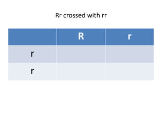 Rr crossed with rr
R r
r
r
 