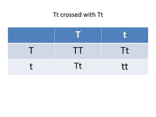 Tt crossed with Tt
T t
T TT Tt
t Tt tt
 