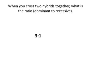 When you cross two hybrids together, what is
the ratio (dominant to recessive).
3:1
 