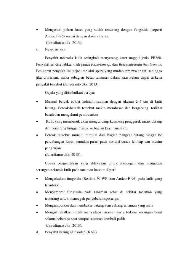 HUBUNGAN PENYAKIT PERNAFASAN (ISFA) PADA PERKEBUNAN KARET 