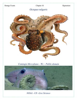 Strange Events Chapter 10 Hypnotism
Octopusvulgaris
Comingio Merculiano – Wc – Public domain
NOAA –US –Live Science
 