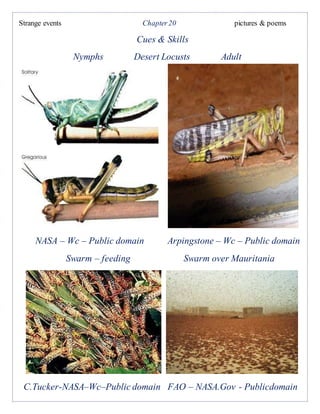 Strange events Chapter20 pictures & poems
Cues & Skills
Nymphs Desert Locusts Adult
NASA – Wc – Public domain Arpingstone – Wc – Public domain
Swarm – feeding Swarm over Mauritania
C.Tucker-NASA–Wc–Public domain FAO – NASA.Gov - Publicdomain
 