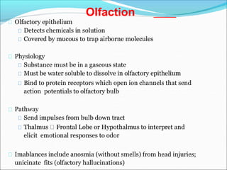 Olfactory epithelium
Detects chemicals in solution
Covered by mucous to trap airborne molecules
Physiology
Substance must be in a gaseous state
Must be water soluble to dissolve in olfactory epithelium
Bind to protein receptors which open ion channels that send
action potentials to olfactory bulb
Pathway
Send impulses from bulb down tract
Thalmus Frontal Lobe or Hypothalmus to interpret and
elicit emotional responses to odor
Imablances include anosmia (without smells) from head injuries;
unicinate fits (olfactory hallucinations)
Olfaction
 