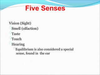 Five Senses
Vision (Sight)
Smell (olfaction)
Taste
Touch
Hearing
Equilibrium is also considered a special
sense, found in the ear
 