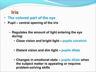 • The colored part of the eye
• Pupil – central opening of the iris
– Regulates the amount of light entering the eye
during:
• Close vision and bright light – pupils constrict
• Distant vision and dim light – pupils dilate
• Changes in emotional state – pupils dilate when
the subject matter is appealing or requires
problem-solving skills
Iris
 