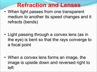 Refraction and Lenses
• When light passes from one transparent
medium to another its speed changes and it
refracts (bends)
• Light passing through a convex lens (as in
the eye) is bent so that the rays converge to
a focal point
• When a convex lens forms an image, the
image is upside down and reversed right to
left
 