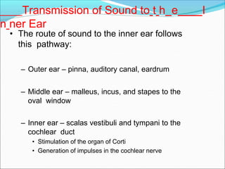 Transmission of Sound to t h e I
n ner Ear
• The route of sound to the inner ear follows
this pathway:
– Outer ear – pinna, auditory canal, eardrum
– Middle ear – malleus, incus, and stapes to the
oval window
– Inner ear – scalas vestibuli and tympani to the
cochlear duct
• Stimulation of the organ of Corti
• Generation of impulses in the cochlear nerve
 