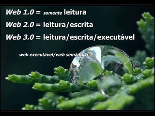 Web 1.0  =  somente  leitura Web 2.0  = leitura/escrita Web 3.0  = leitura/escrita/executável  web executável/web semântica 