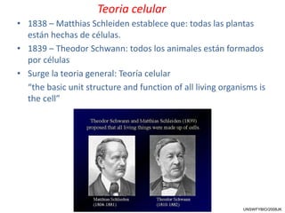 • 1838 – Matthias Schleiden establece que: todas las plantas
están hechas de células.
• 1839 – Theodor Schwann: todos los animales están formados
por células
• Surge la teoria general: Teoría celular
“the basic unit structure and function of all living organisms is
the cell”
UNSWFYBIO/2008JK
Teoria celular
 