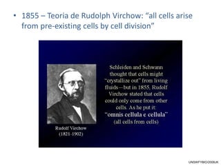 • 1855 – Teoria de Rudolph Virchow: “all cells arise
from pre-existing cells by cell division”
UNSWFYBIO/2008JK
 