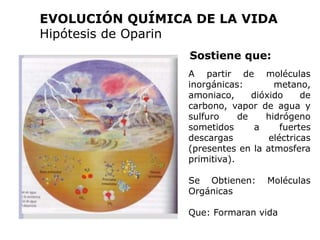 EVOLUCIÓN QUÍMICA DE LA VIDA
Hipótesis de Oparin
A partir de moléculas
inorgánicas: metano,
amoniaco, dióxido de
carbono, vapor de agua y
sulfuro de hidrógeno
sometidos a fuertes
descargas eléctricas
(presentes en la atmosfera
primitiva).
Se Obtienen: Moléculas
Orgánicas
Que: Formaran vida
Sostiene que:
 