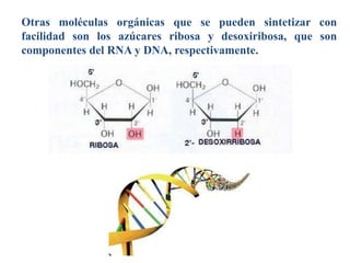Otras moléculas orgánicas que se pueden sintetizar con
facilidad son los azúcares ribosa y desoxiribosa, que son
componentes del RNA y DNA, respectivamente.
 