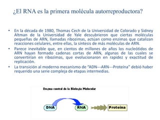 ¿El RNA es la primera molécula autorreproductora?
• En la década de 1980, Thomas Cech de la Universidad de Colorado y Sidney
Altman de la Universidad de Yale descubrieron que ciertas moléculas
pequeñas de ARN, llamadas ribozimas, actúan como enzimas que catalizan
reacciones celulares, entre ellas, la síntesis de más moléculas de ARN.
• Parece inevitable que, en cientos de millones de años los nucleótidos de
ARN hayan formado cadenas cortas de ARN, algunas de las cuales se
convertirían en ribozimas, que evolucionaron en rapidez y exactitud de
replicación.
• La transición al moderno mecanismo de “ADN---ARN---Proteína” debió haber
requerido una serie compleja de etapas intermedias.
 