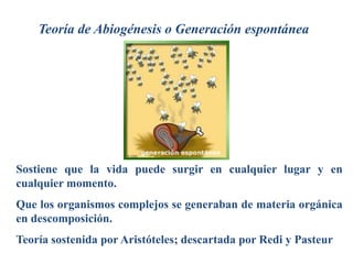 Teoría de Abiogénesis o Generación espontánea
Sostiene que la vida puede surgir en cualquier lugar y en
cualquier momento.
Que los organismos complejos se generaban de materia orgánica
en descomposición.
Teoría sostenida por Aristóteles; descartada por Redi y Pasteur
 