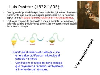 • Dos siglos después del experimento de Redi, Pasteur demostró
claramente que no había ninguna posibilidad de Generación
espontánea; el caldo no se transforma en microorganismos.
• Utilizó un matraz de cuello de cisne y en el interior colocó un
caldo de cultivo previamente esterilizado y permaneció estéril
durante un tiempo.
Luis Pasteur (1822-1895)
Cuando se eliminaba el cuello de cisne,
en el caldo proliferaban microbios al
cabo de 48 horas.
• Conclusión: el cuello de cisne impedía
que cayeran los microbios ambientales
al interior de los matraces.
 
