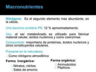Nitrógeno: Es el segundo elemento mas abundante, en
la célula.
Una bacteria contiene PS: 12 % aproximadamente.
.
Uso: al ser metabolizado es utilizado para fabricar
material celular, ácidos nucleícos y como coenzimas.
Componente: mayoritario de proteínas, ácidos nucleícos y
otros constituyentes celulares.
Presente en la naturaleza:
Como nitrógeno atmosférico
Forma inorgánica:
Nitratos, nitritos
Sales de amonio
Forma orgánica:
Aminoácidos
Pépticos.
 