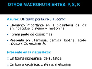 Azufre: Utilizado por la célula, como:
 Elemento importante en la biosíntesis de los
aminoácidos, cisteína y metionina.
 Forma parte de coenzimas.
 Presente en vitaminas, tiamina, biotina, acido
lipoico y Co enzima A.
Presente en la naturaleza:
En forma inorgánica de sulfatos
En forma orgánica: cisteína, metionina
 