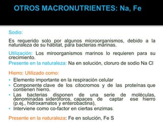 Sodio:
Es requerido solo por algunos microorganismos, debido a la
naturaleza de su hábitat, para bacterias marinas.
Utilización: Los miroorganismos marinos lo requieren para su
crecimiento.
Presente en la naturaleza: Na en solución, cloruro de sodio Na Cl
Hierro: Utilizado como:
▪ Elemento importante en la respiración celular
▪ Componente clave de los citocromos y de las proteínas que
contienen hierro.
▪ Las bacterias disponen de una serie de moléculas,
denominadas sideróforos, capaces de captar ese hierro
(p.ej., hidroxamatos y enterobactina),
▪ Interviene como co-factor en ciertas enzimas.
Presente en la naturaleza: Fe en solución, Fe S
 