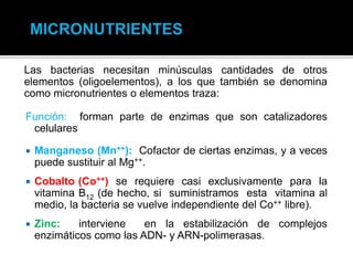 Las bacterias necesitan minúsculas cantidades de otros
elementos (oligoelementos), a los que también se denomina
como micronutrientes o elementos traza:
Función: forman parte de enzimas que son catalizadores
celulares
 Manganeso (Mn++): Cofactor de ciertas enzimas, y a veces
puede sustituir al Mg++.
 Cobalto (Co++) se requiere casi exclusivamente para la
vitamina B12 (de hecho, si suministramos esta vitamina al
medio, la bacteria se vuelve independiente del Co++ libre).
 Zinc: interviene en la estabilización de complejos
enzimáticos como las ADN- y ARN-polimerasas.
 