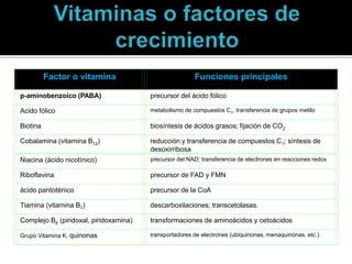 Factor o vitamina Funciones principales
p-aminobenzoico (PABA) precursor del ácido fólico
Acido fólico metabolismo de compuestos C1, transferencia de grupos metilo
Biotina biosíntesis de ácidos grasos; fijación de CO2
Cobalamina (vitamina B12) reducción y transferencia de compuestos C1; síntesis de
desoxirribosa
Niacina (ácido nicotínico) precursor del NAD; transferencia de electrones en reacciones redox
Riboflavina precursor de FAD y FMN
ácido pantoténico precursor de la CoA
Tiamina (vitamina B1) descarboxilaciones; transcetolasas.
Complejo B6 (piridoxal, piridoxamina) transformaciones de aminoácidos y cetoácidos
Grupo Vitamina K, quinonas transportadores de electrones (ubiquinonas, menaquinonas, etc.)
 