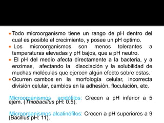  Todo microorganismo tiene un rango de pH dentro del
cual es posible el crecimiento, y posee un pH optimo.
 Los microorganismos son menos tolerantes a
temperaturas elevadas y pH bajos, que a pH neutro.
 El pH del medio afecta directamente a la bacteria, y a
enzimas, afectando la disociación y la solubilidad de
muchas moléculas que ejercen algún efecto sobre estas.
 Ocurren cambos en la morfología celular, incorrecta
división celular, cambios en la adhesión, floculación, etc.
Microorganismos acidófilos: Crecen a pH inferior a 5
ejem. (Thiobacillus pH: 0.5).
Microorganismos alcalinófilos: Crecen a pH superiores a 9
(Bacillus pH: 11).
 