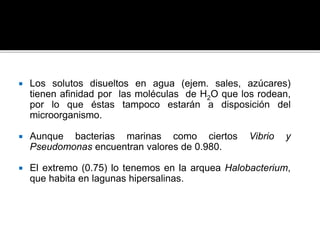 Los solutos disueltos en agua (ejem. sales, azúcares)
tienen afinidad por las moléculas de H2O que los rodean,
por lo que éstas tampoco estarán a disposición del
microorganismo.
 Aunque bacterias marinas como ciertos Vibrio y
Pseudomonas encuentran valores de 0.980.
 El extremo (0.75) lo tenemos en la arquea Halobacterium,
que habita en lagunas hipersalinas.
 
