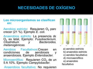 Los microorganismos se clasifican
en:
Aerobios estricto: Requieren O2 para
crecer (21 %). Ejemplo E. coli.
Anaerobios estricto: La presencia de
O2 es letal, Ejemplo: Fusobacterium,
Clostridium y Bacteroides,
metanogénicas.
Aerobios Facultativos:Crecen en
condiciones de aerobiosis y
anaerobiosis. Ejemplo Enterobacter.
Microaerófilos: Requieren CO2 de un
5 A 10%. Ejemplo Campylobacter.
Anaerobios facultativo: No requieren
a) aerobio estricto
b) anaerobio estricto
c) aerobio facultativo
d) microaerofilico
e) anaerobio
facultativo
NECESIDADES DE OXÍGENO
 