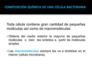 COMPOSICIÓN QUÍMICA DE UNA CÉLULA BACTERIANA:
Toda célula contiene gran cantidad de pequeñas
moléculas así como de macromoléculas
• Obtiene del medio exterior la mayoría de pequeñas
moléculas o bien las sintetiza a partir de moléculas
simples.
• Las macromoléculas siempre las va a sintetizar en el
interior (célula microbiana).
 