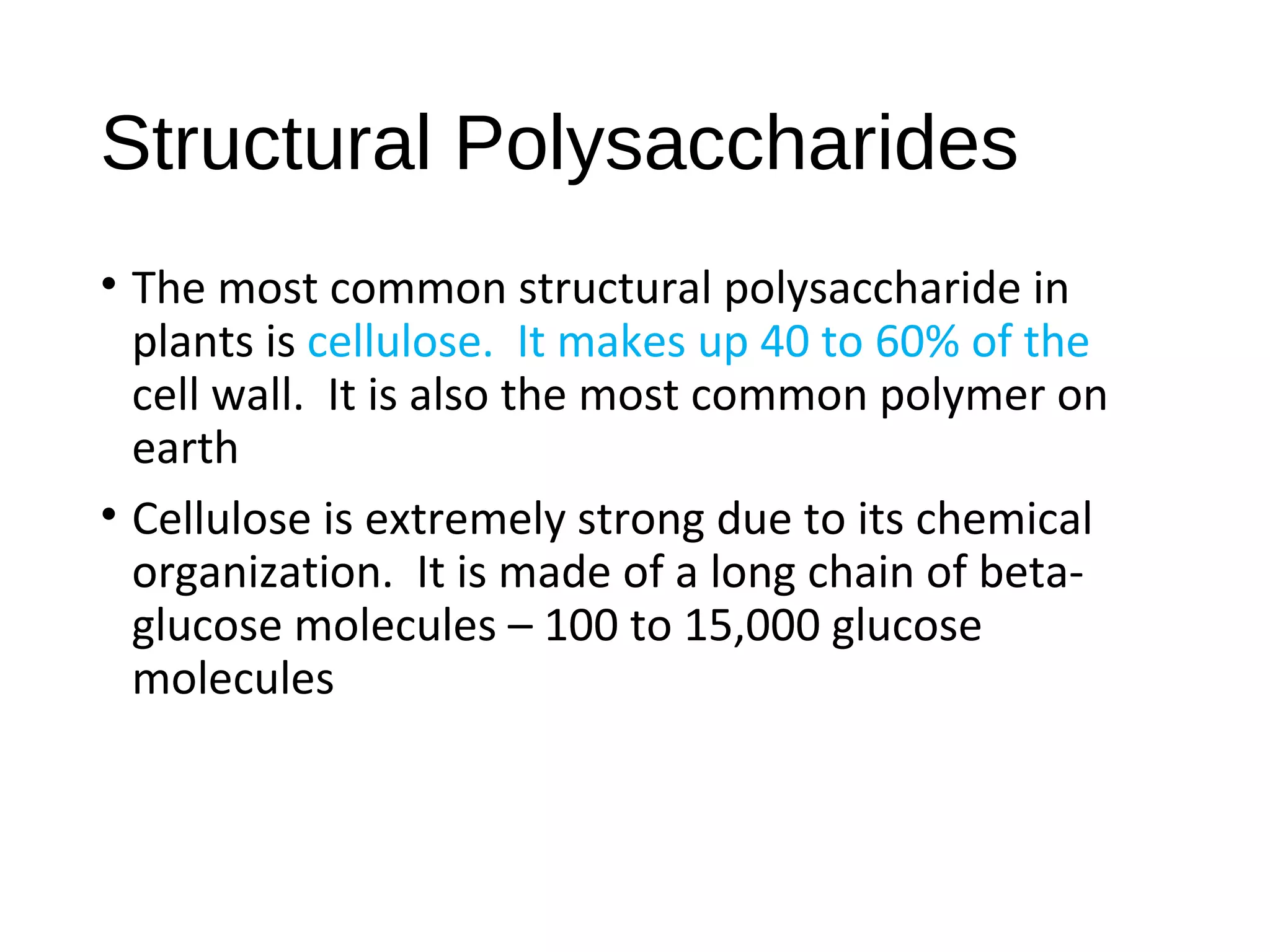 Structural Polysaccharides
• The most common structural polysaccharide in
plants is cellulose. It makes up 40 to 60% of the
cell wall. It is also the most common polymer on
earth
• Cellulose is extremely strong due to its chemical
organization. It is made of a long chain of beta-
glucose molecules – 100 to 15,000 glucose
molecules
 