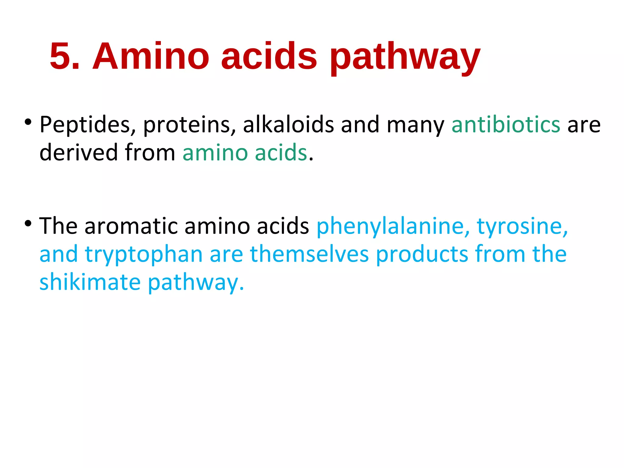 5. Amino acids pathway
• Peptides, proteins, alkaloids and many antibiotics are
derived from amino acids.
• The aromatic amino acids phenylalanine, tyrosine,
and tryptophan are themselves products from the
shikimate pathway.
 