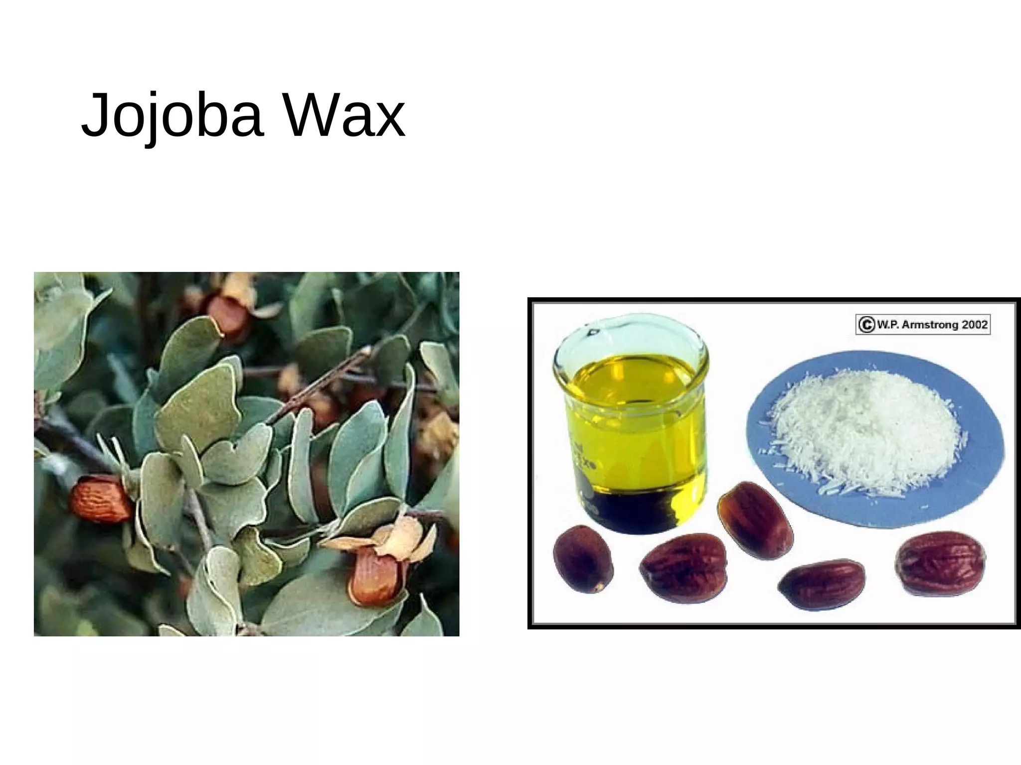 Jojoba Wax
 