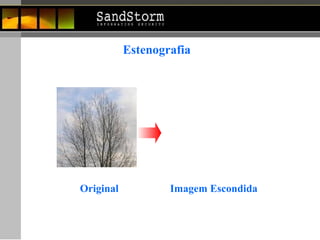 Estenografia Original Imagem Escondida 