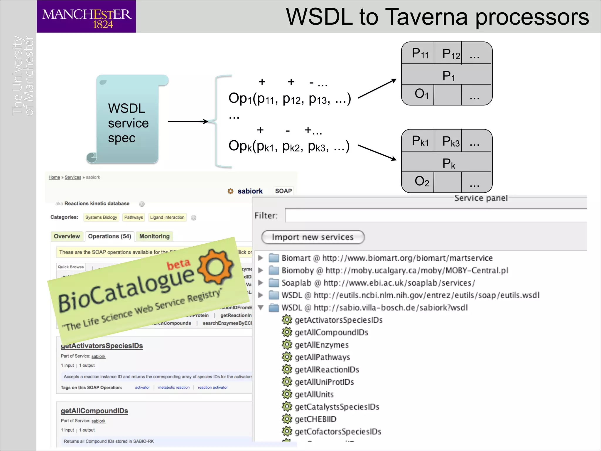 WSDL to Taverna processors
                                    P11   P12 ...

               +     +    - ...           P1
          Op1(p11, p12, p13, ...)   O1         ...
WSDL      ...
service
               +    -    +...
spec                                Pk1 Pk3 ...
          Opk(pk1, pk2, pk3, ...)
                                          Pk
                                    O2         ...




                                                     4
 