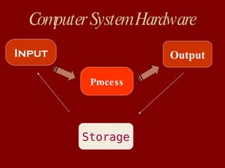 Computer System Hardware Input Process Output Storage 